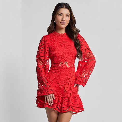 Lantern Long Sleeve Lace Dress