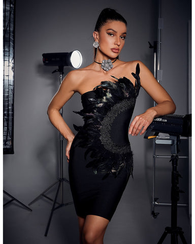 Bandeau Feathers Bandage Dress