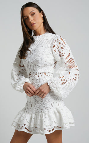 Lantern Long Sleeve Lace Dress