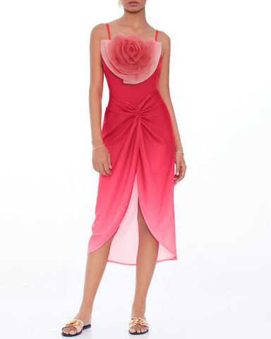 Rosa Muscosa Gradient One Piece Swimsuit and Skirt