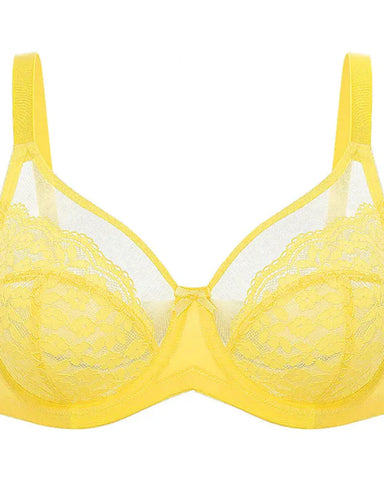 Floral lace shaping plus size bra